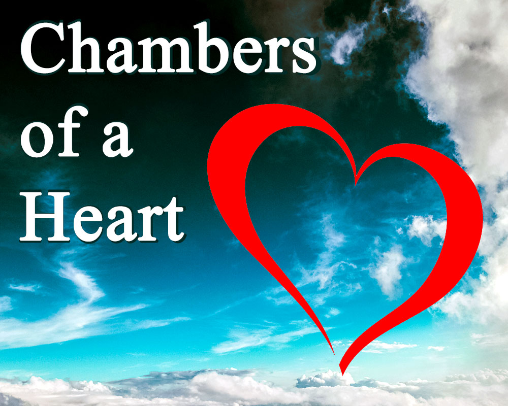 Chambers of a Heart